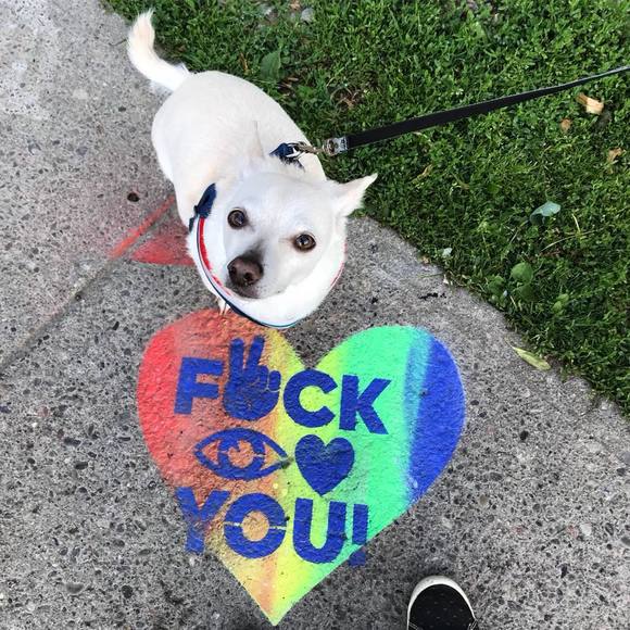 Meet your Posher, Tricia - Picture 1 of 1